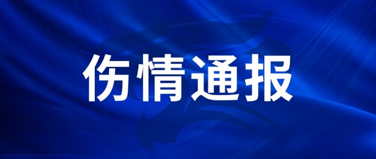 武汉三镇两将伤情更新,王毅陈哲超伤停数周