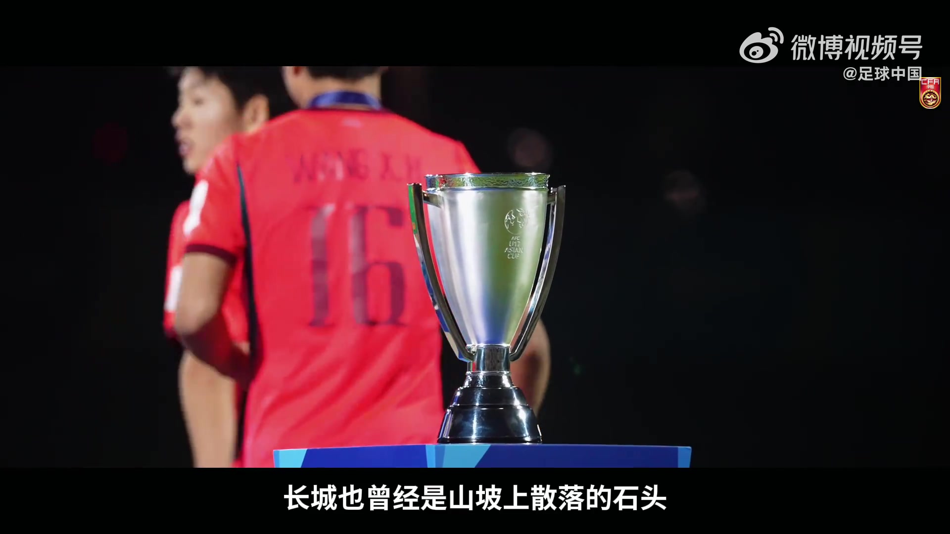 U17国足纪录片《向死而生》:银牌开启世界杯梦