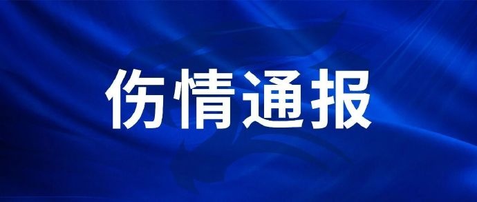 刘奕鸣训练中右手骨折,手术成功静待康复