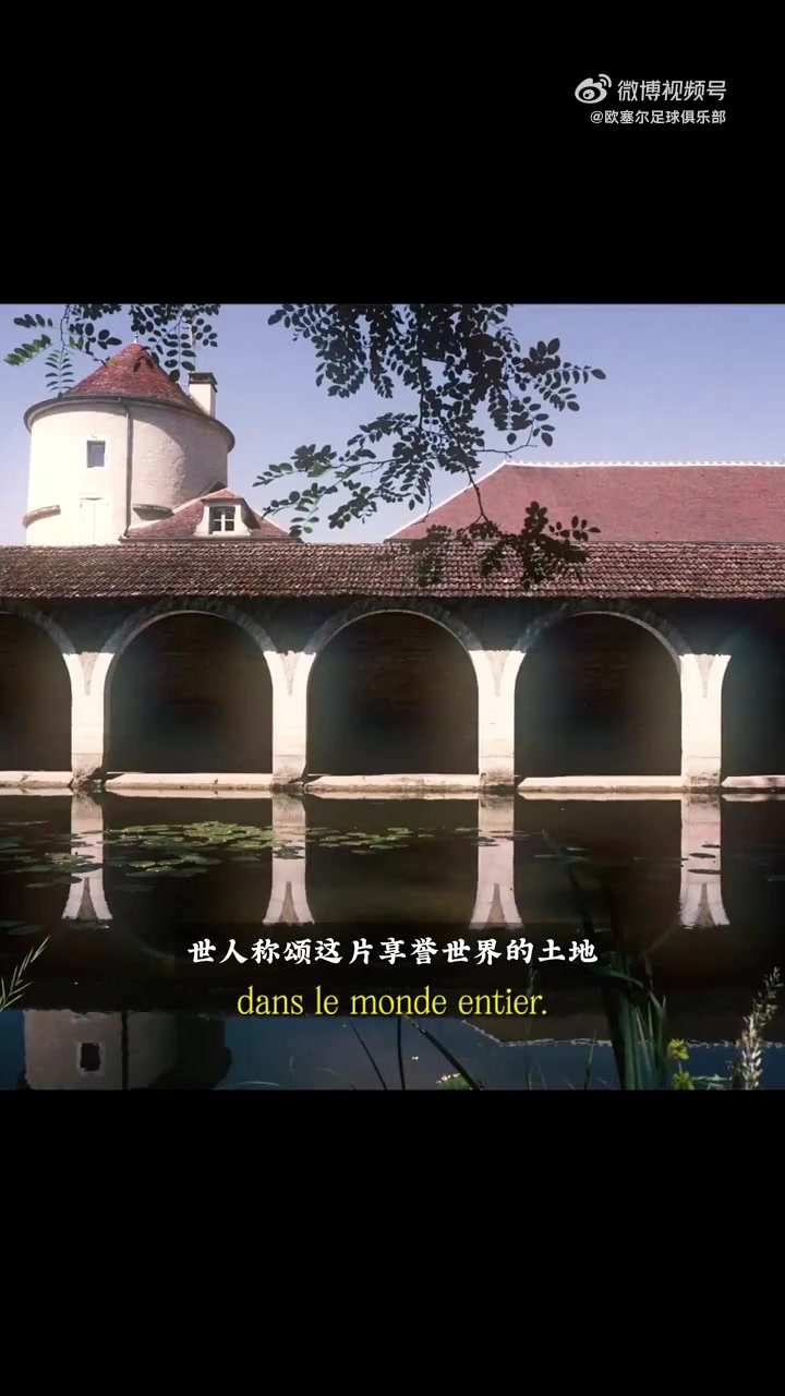 中国小将魏祥鑫正式加盟法甲欧塞尔
